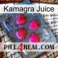 Kamagra Juice 13